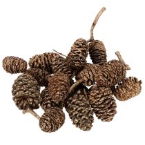 Product Alder cones, natural product for decoration and crafting, gold, 3cm, 300g