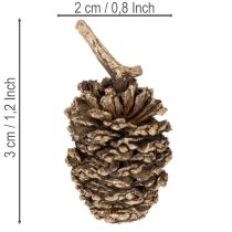 Product Alder cones, natural product for decoration and crafting, gold, 3cm, 300g
