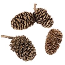 Product Alder cones, natural product for decoration and crafting, gold, 3cm, 300g