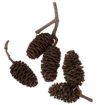 Product Natural alder cones, loose, for decoration, 3cm, 300g, natural brown.