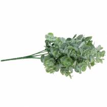 Product Eucalyptus artificial green 32cm