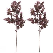 Product Decorative artificial branch Eucalyptus branch burgundy 66cm 2pcs