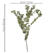 Product Preserved Eucalyptus Decorative Branches and Leaves, Round Dried Decoration, Green, 150g