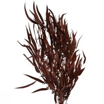 Product Eucalyptus Preserved Eucalyptus Branches Red, Brown 56cm 135g
