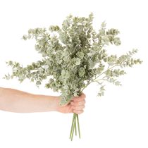 Product Artificial eucalyptus branch, decorative branch for vases and bouquets, 49cm, 4 pieces