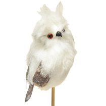 Product Owl on stick white 9cm L48cm