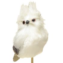 Product Owl on stick white 9cm L48cm