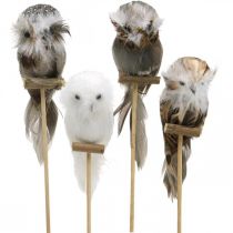 Flower plug deco owl with feathers white, brown H15cm 4pcs