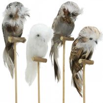Owl with feathers, screech owl on branch, decorative plugs, flower decoration nature, white H17cm 12pcs