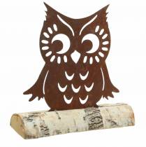 Owl patina on birch trunk 18cm x 17cm