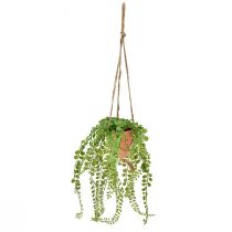 Artificial succulents in pot Sedum hanging basket 34cm