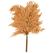 Product Orange Preserved Fern Decoration 45cm 10 Pieces Home Decoration DIY