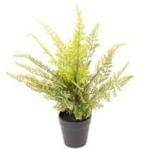 Product Artificial fern plant in a pot for indoor greenery, 40cm