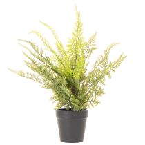 Product Artificial fern plant in a pot for indoor greenery, 40cm