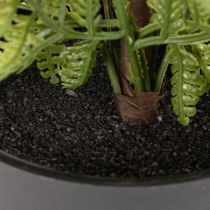Product Artificial fern plant in a pot for indoor greenery, 40cm