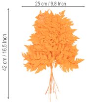 Product Dried and preserved fern fronds for floristry and autumn decoration, 42cm, 10 pieces