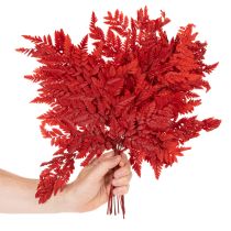 Product Preserved and dyed fern fronds, true fern for autumn arrangements, 42cm, 10 pieces
