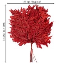 Product Preserved and dyed fern fronds, true fern for autumn arrangements, 42cm, 10 pieces