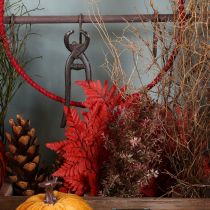 Product Preserved and dyed fern fronds, true fern for autumn arrangements, 42cm, 10 pieces