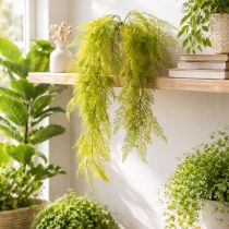 Product Artificial fern hanging plant, decorative eye-catcher for interiors, modern accents, 80cm
