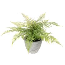 Product Artificial fern in a plant pot for living room and office, 35cm