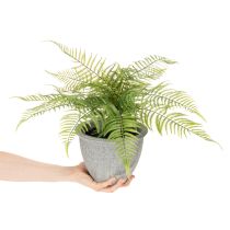 Product Artificial fern in a plant pot for living room and office, 35cm