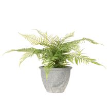 Product Artificial fern in a plant pot for living room and office, 35cm
