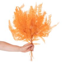 Product Fern branch, preserved fern, dried decoration for arrangements, 60cm, 10 pieces