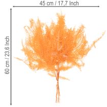 Product Fern branch, preserved fern, dried decoration for arrangements, 60cm, 10 pieces