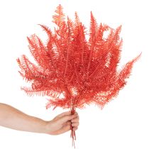 Product Ferns, preserved dried flowers, autumn decoration, 60cm, 10 pieces