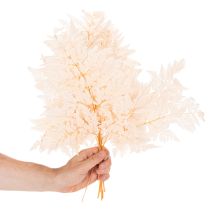 Product Dried fern decoration for vase 42cm 10pcs