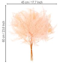 Product Dried fern fronds, fern decoration for vases, 60cm, 10 pieces