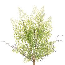 Product Artificial green Ruscus branch for floral decoration, 41cm