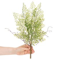 Product Artificial green Ruscus branch for floral decoration, 41cm