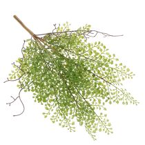 Product Artificial green Ruscus branch for floral decoration, 41cm