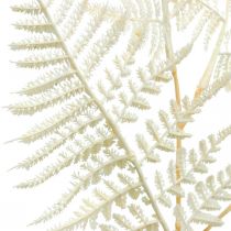 Decorative leaf fern, artificial plant, fern branch, decorative fern leaf white L59cm