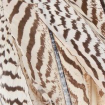 Product Pheasant Feathers for Crafting Brown Beige Natural 20cm 20pcs