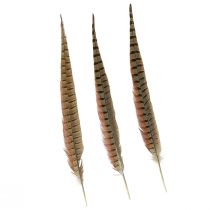 Product Pheasant Feathers Decoration Real Feathers Natural 40cm 9pcs