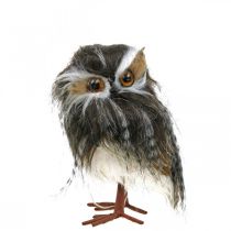 Winter decoration, decoration owl, tawny owl, autumn H16cm