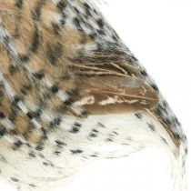 Product Forest owl, autumn decoration, decorative owl, Halloween H16cm