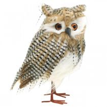 Decorative owl, autumn, forest animal, winter decoration H27cm