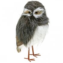 Forest owl, winter decoration, decorative owl, autumn H41cm