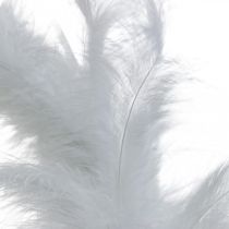 Feather Wreath White Ø20cm Deco Wreath Spring Real Feathers 3pcs