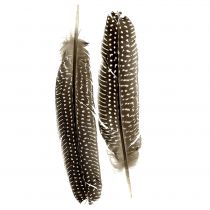 Feathers nature 16cm - 20cm 8g