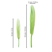 Product Decorative feathers for a stylish ambiance and impressive decorations 10cm