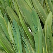 Product Decorative feathers for a stylish ambiance and impressive decorations 10cm