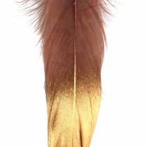Feathers burgundy, gold 18-23cm 24pcs