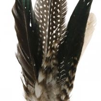 Plume on metal spring Spring decoration Real feathers 25cm 5pcs