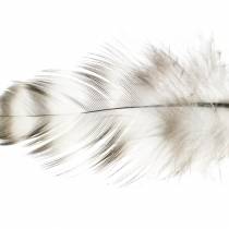 Feathers natural 5.5 - 10cm 10g