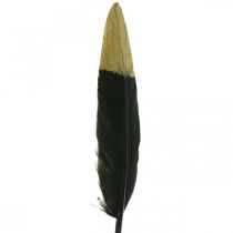 Product Decorative feathers black, gold real feathers for crafts 12-14cm 72pcs